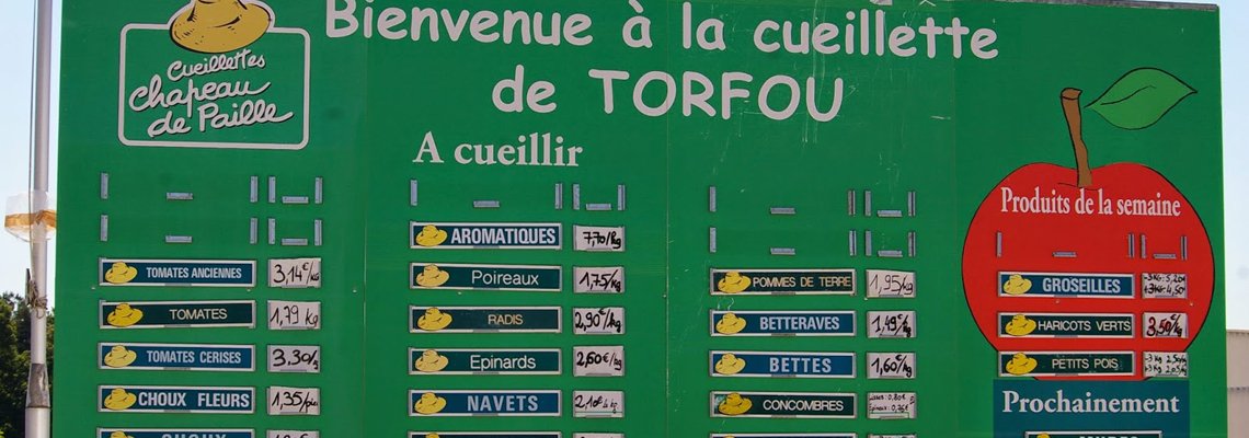 cueillette de Torfou